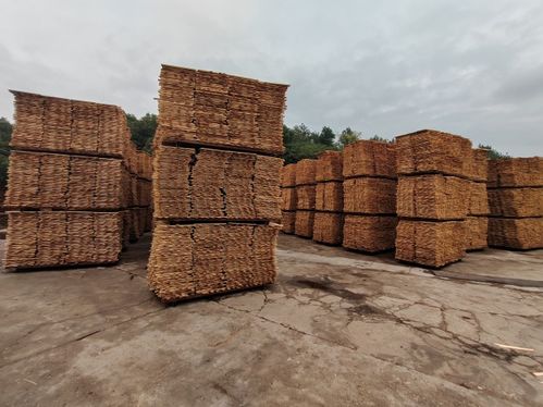 环保新高度 凯瑞象板材18mm大豆胶生态环保板材问世，引领绿色建材革新