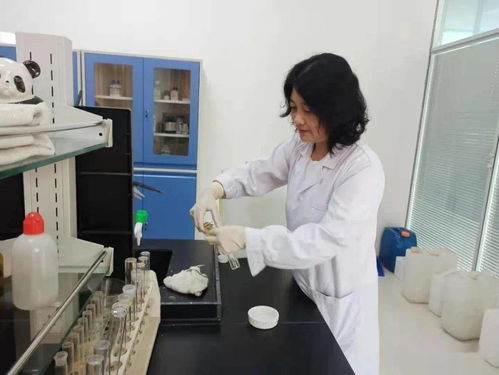 邹城市2025年7月8日生态环境工作动态 聚焦环境材料销售助力绿色发展