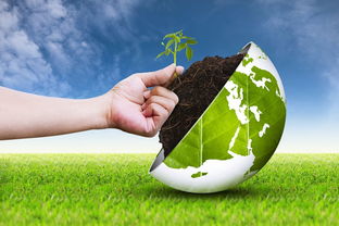 环境工程、环境生态工程与生态环境材料销售 区别与关联
