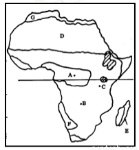 人类活动对极地生态环境的影响